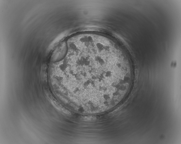 X0000110891403200907161515