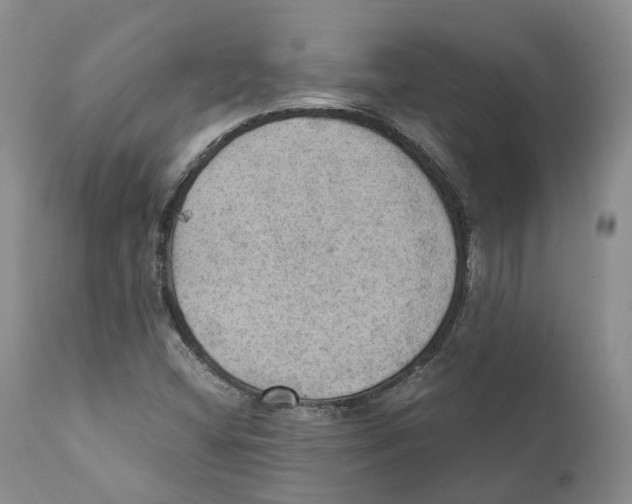 X0000110891404200907161515