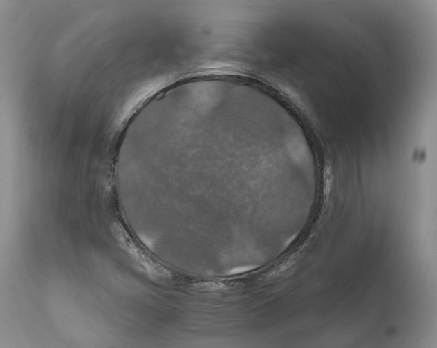 X0000110891405200907161515