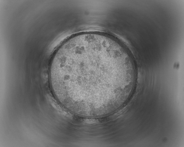 X0000110891407200907161515