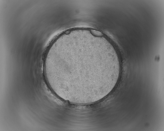 X0000110891408200907161515