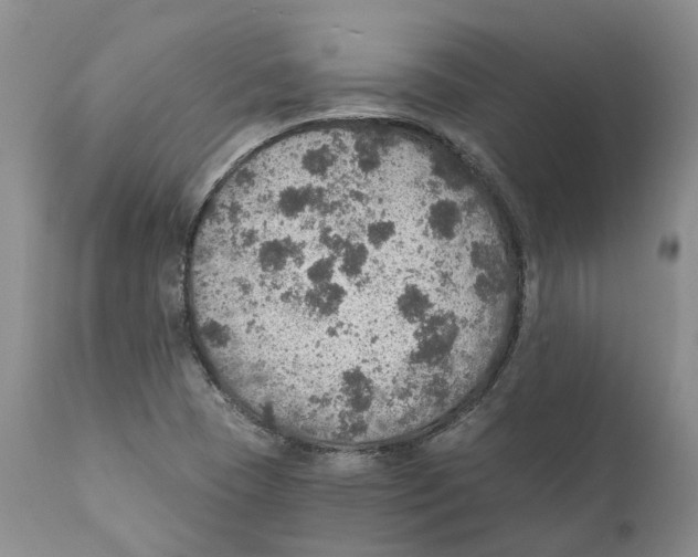 X0000110891409200907161515