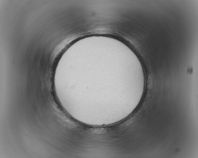 X0000110891410200907161515