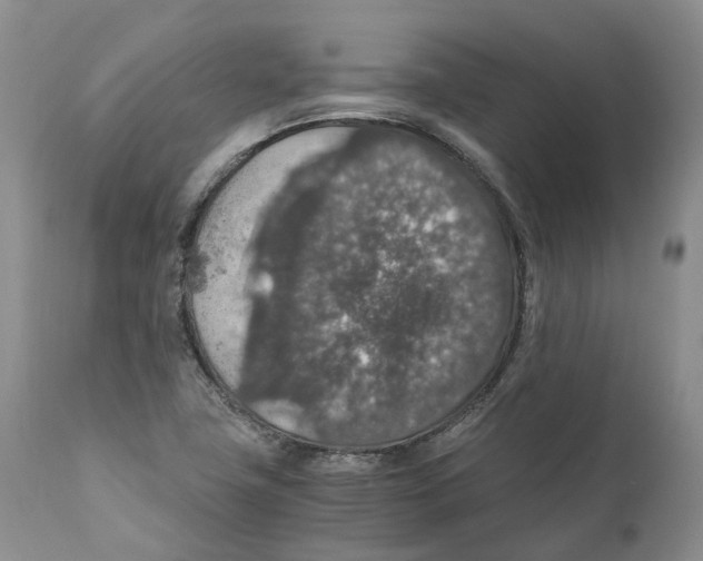 X0000110891411200907161515