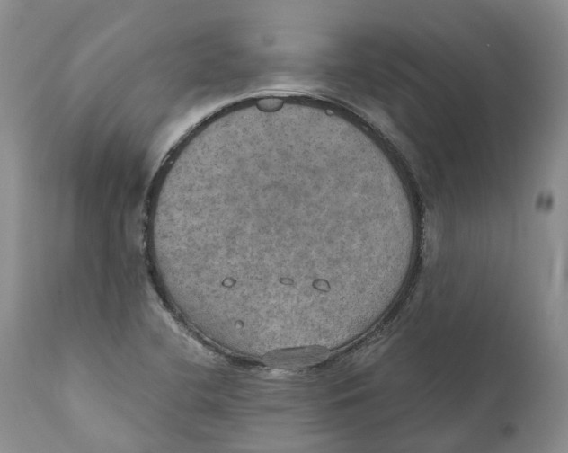 X0000110891412200907161515