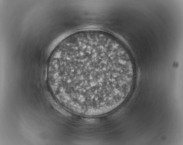 X0000110891413200907161515