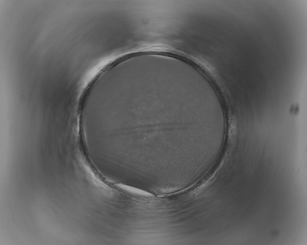 X0000110891414200907161515