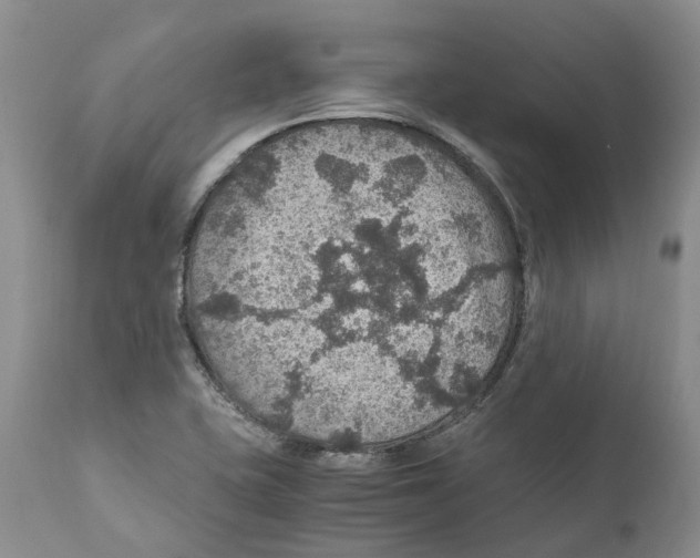 X0000110891415200907161515