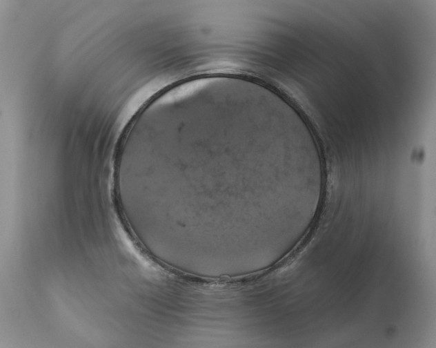 X0000110891418200907161515