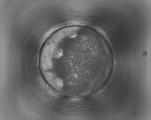 X0000110891419200907161515