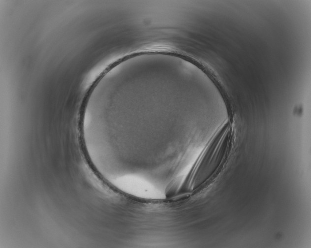 X0000110891422200907161515