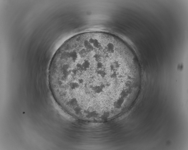 X0000110891423200907161515