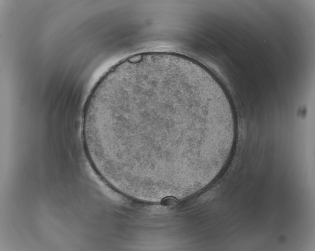 X0000110891424200907161515