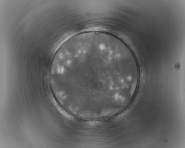 X0000110891425200907161515