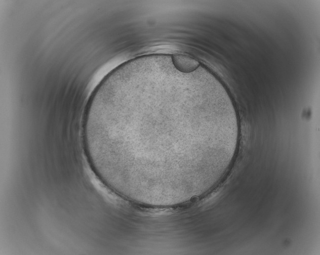 X0000110891426200907161515