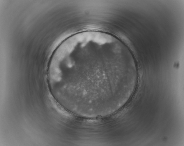 X0000110891427200907161515