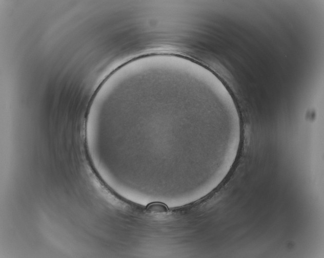 X0000110891428200907161515