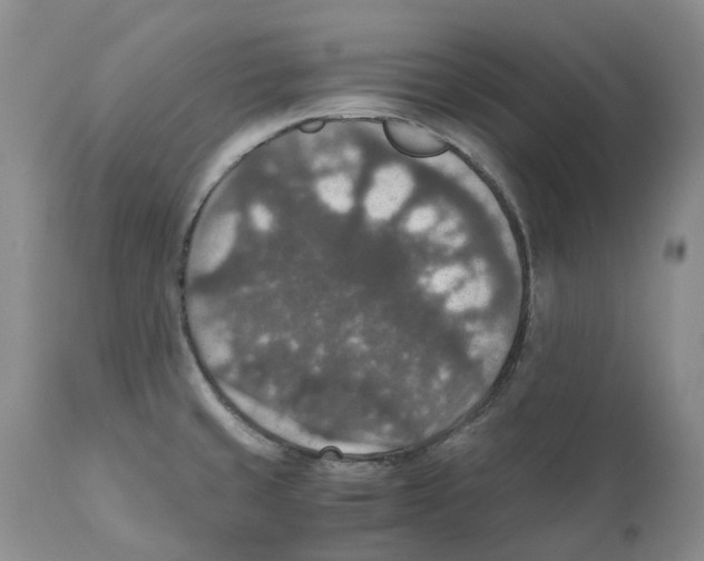 X0000110891429200907161515