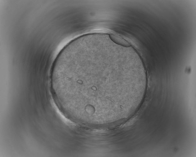 X0000110891430200907161515