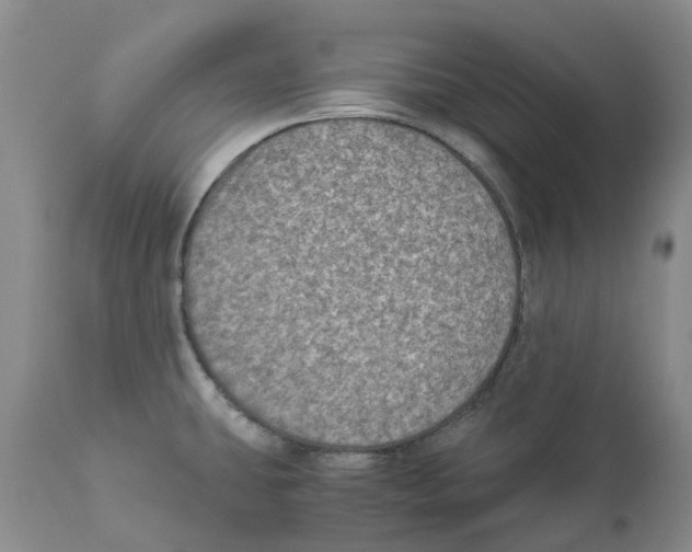 X0000110891431200907161515