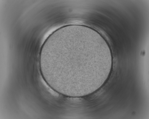 X0000110891432200907161515