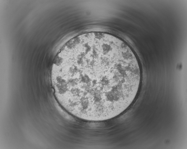 X0000110891433200907161515