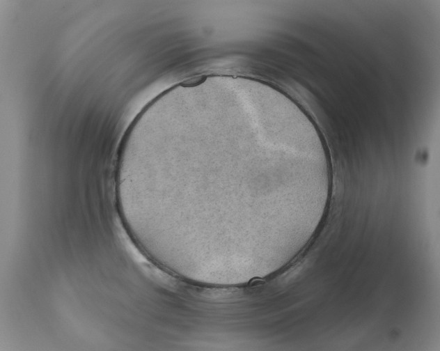 X0000110891434200907161515