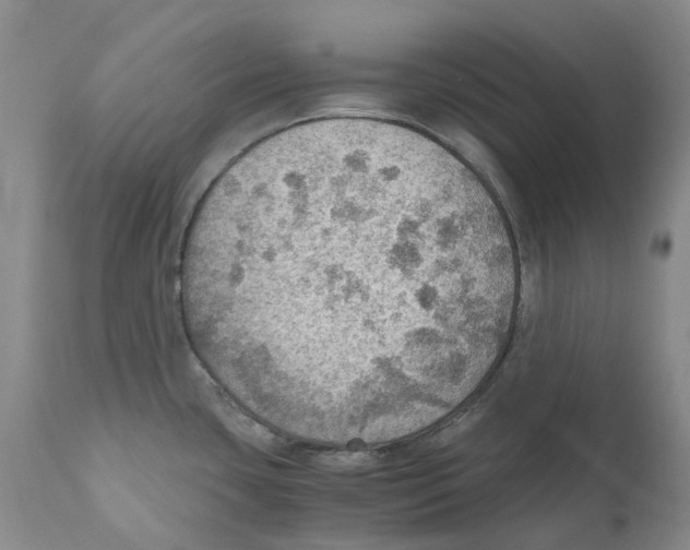 X0000110891435200907161515