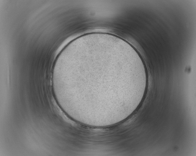 X0000110891436200907161515