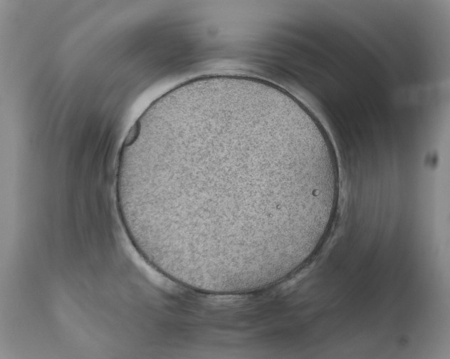 X0000110891437200907161515