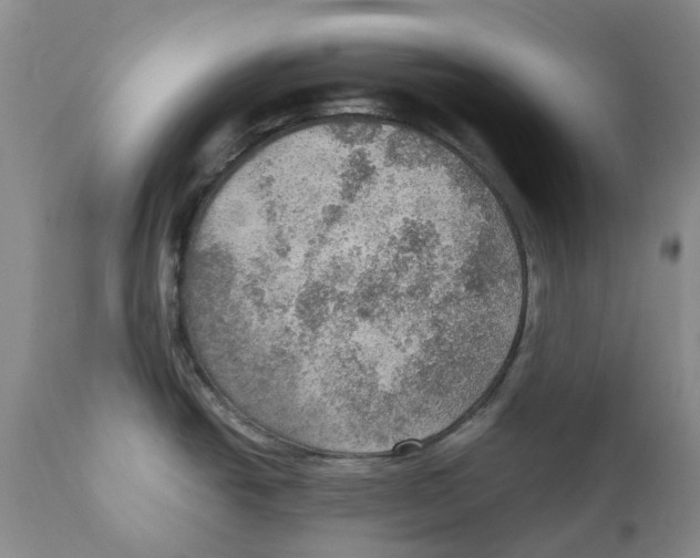 X0000110891438200907161515