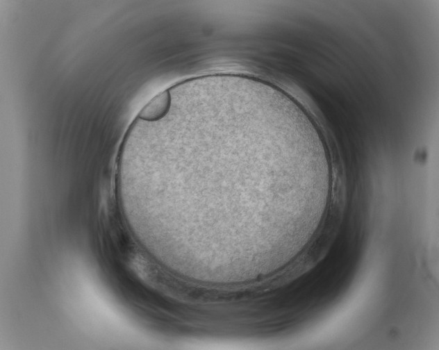 X0000110891439200907161515