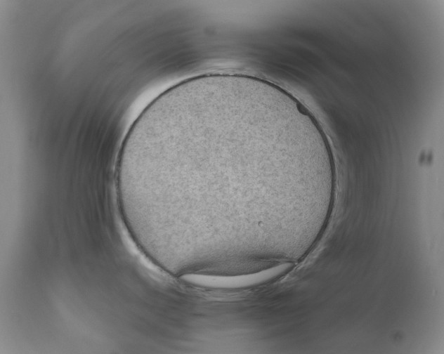 X0000110891440200907161515