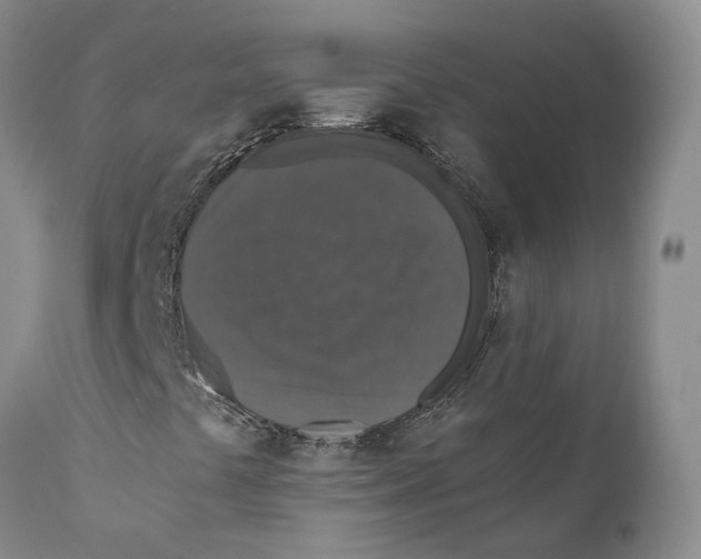 X0000110891441200907161515