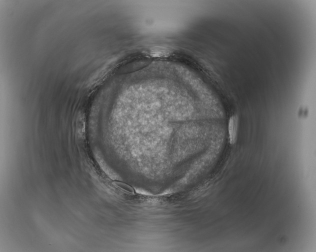 X0000110891443200907161515