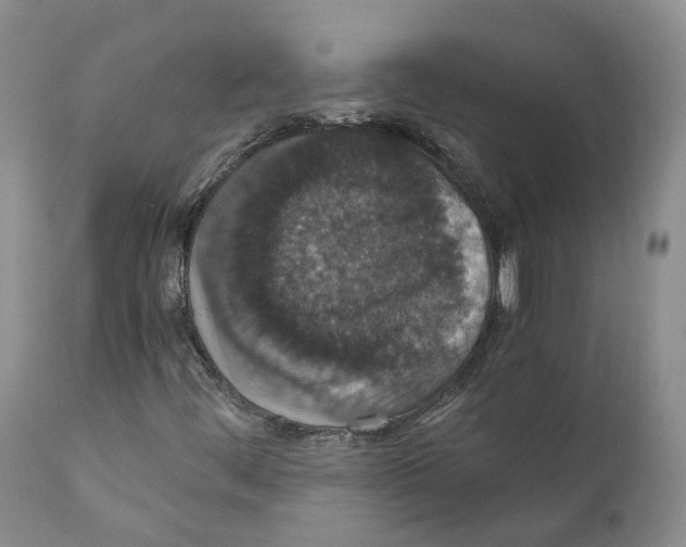 X0000110891444200907161515