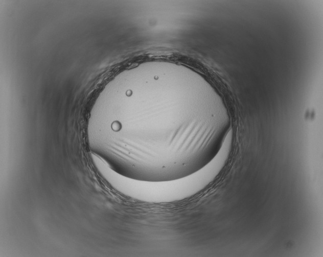 X0000110891445200907161514