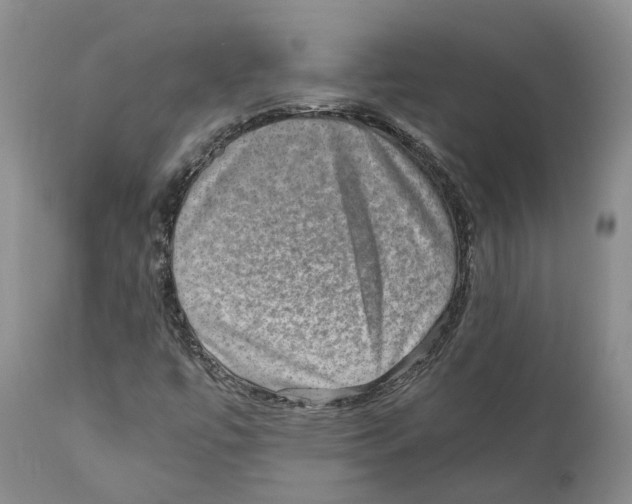 X0000110891447200907161514