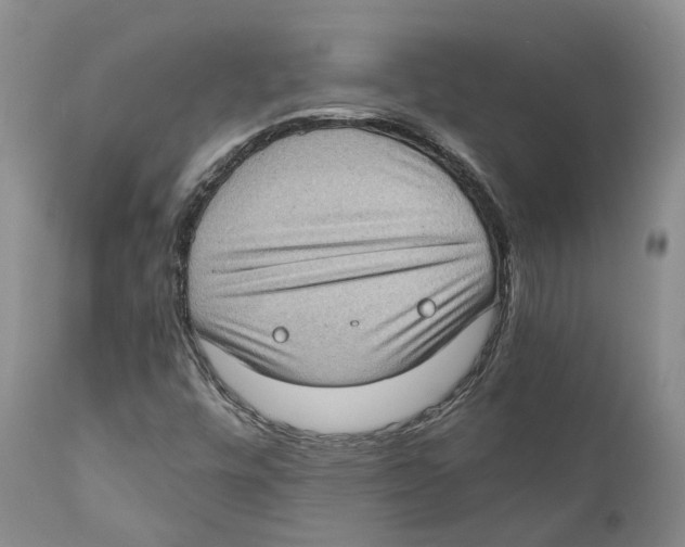 X0000110891448200907161514