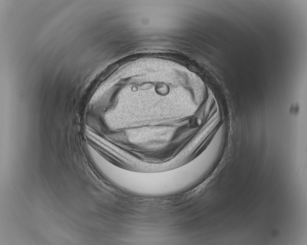 X0000110891449200907161514