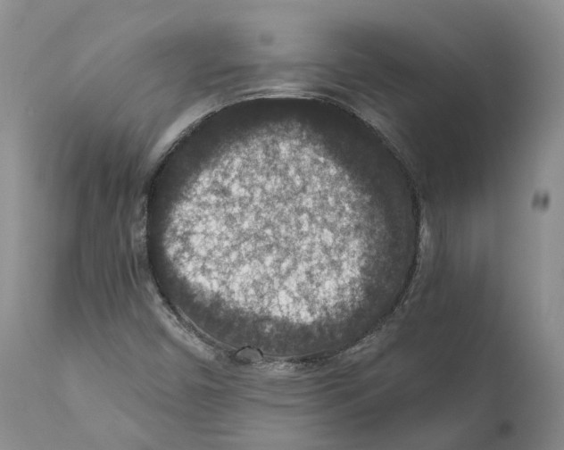 X0000110891450200907161514