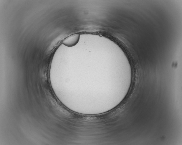 X0000110891451200907161514