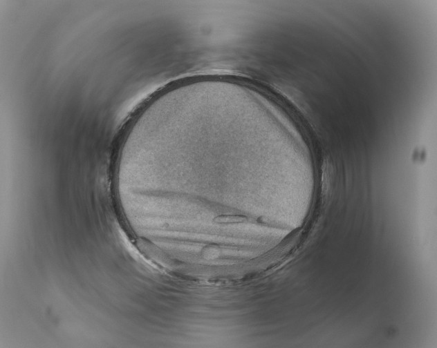 X0000110891452200907161514