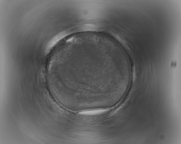 X0000110891453200907161514