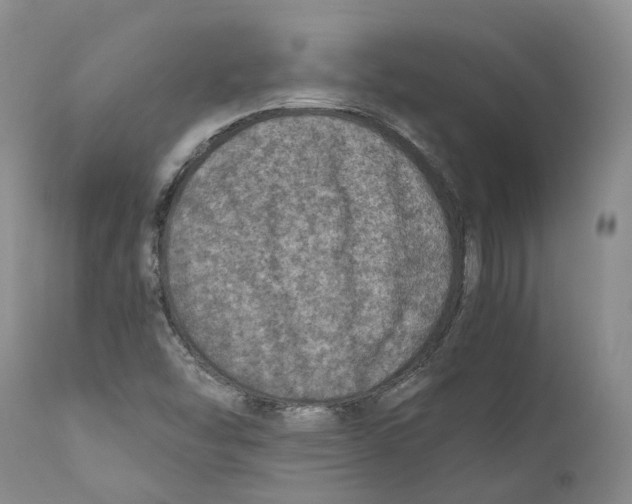 X0000110891454200907161514