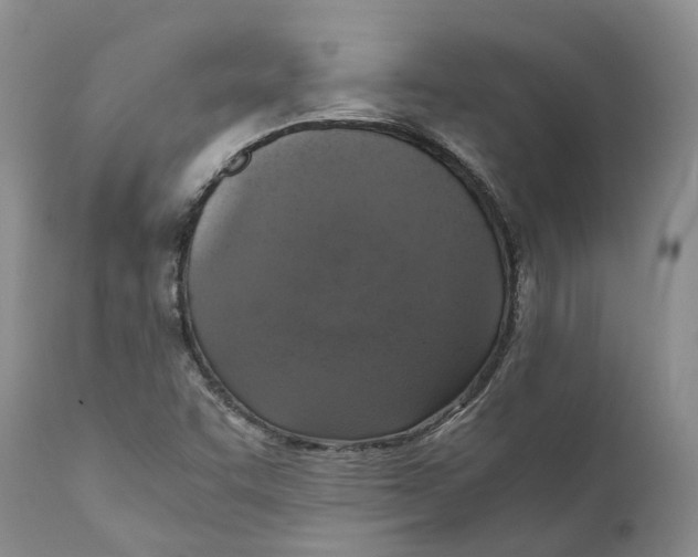 X0000110891455200907161514