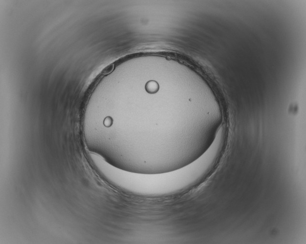 X0000110891457200907161514