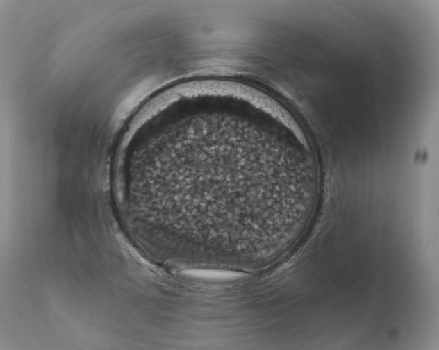 X0000110891459200907161514