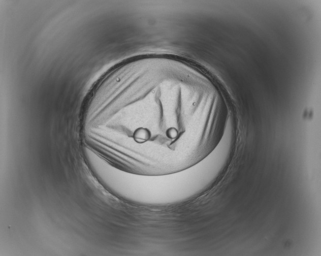 X0000110891460200907161514