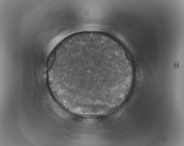 X0000110891461200907161514